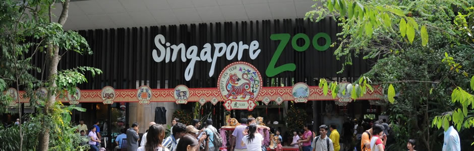 Book Taxi Singapore - Singapore Zoo